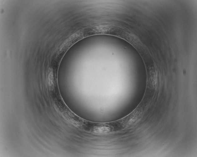 X0000054390220200508011301