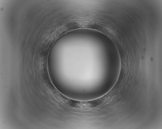 X0000054390221200508011301