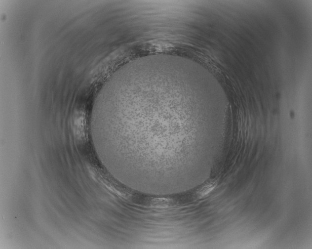 X0000054390222200508011301