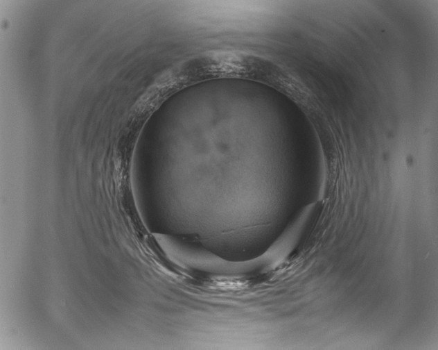 X0000054390223200508011301