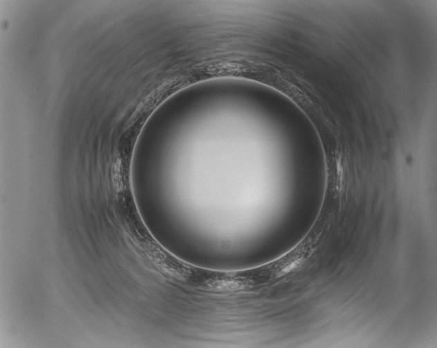 X0000054390224200508011301