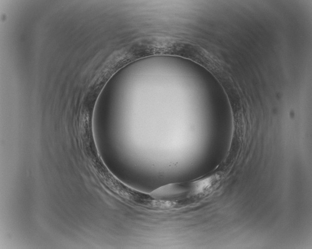 X0000054390225200508011301