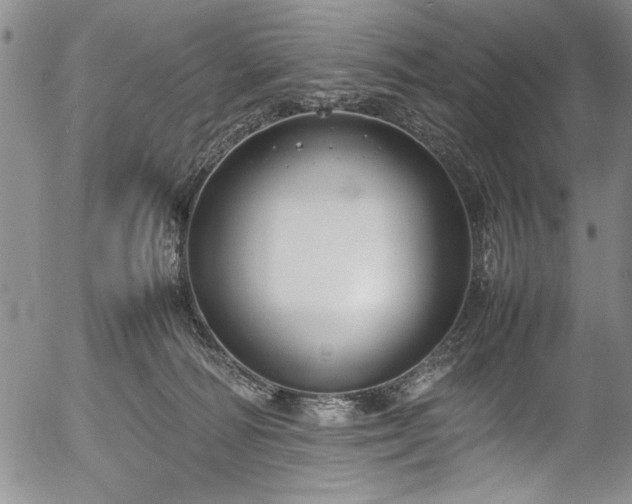 X0000054390226200508011301