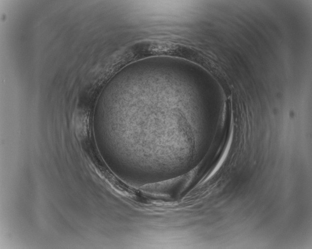 X0000054390227200508011301