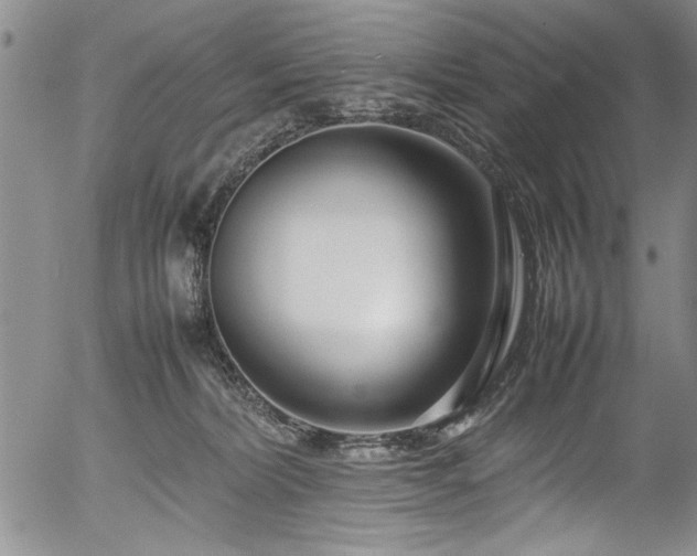 X0000054390228200508011301