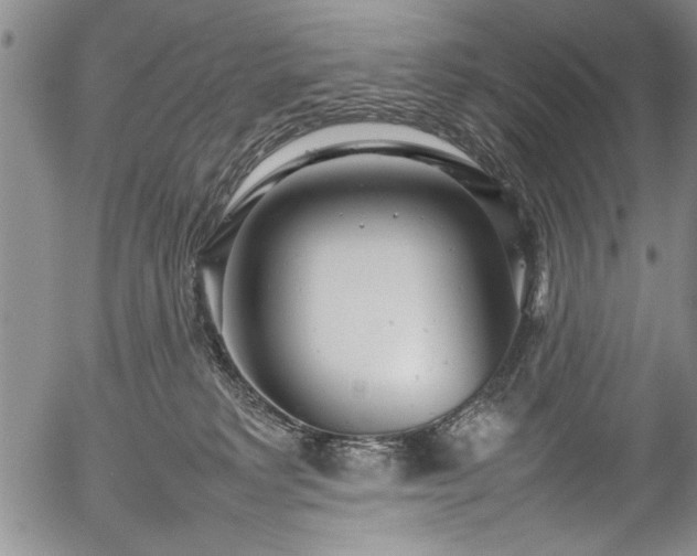 X0000054390229200508011301