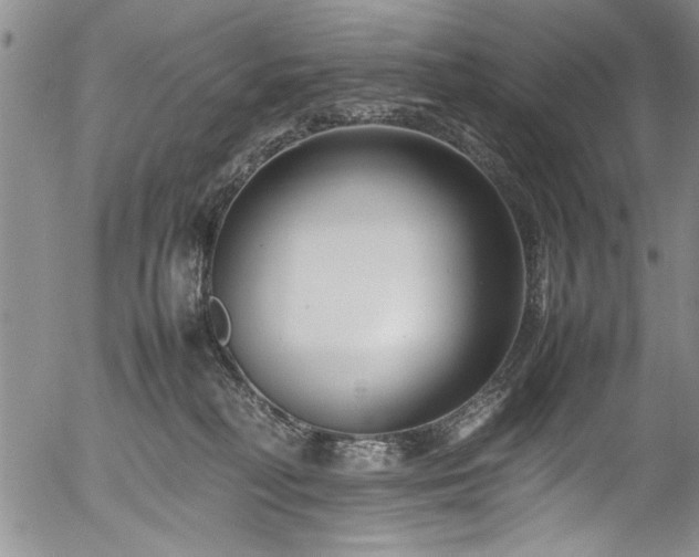 X0000054390230200508011301