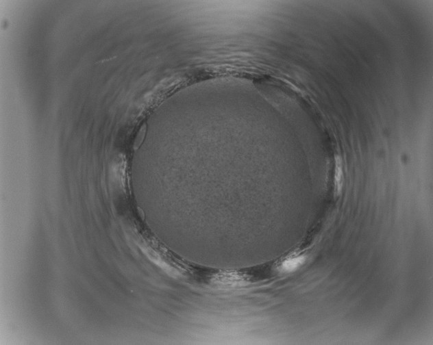 X0000054390231200508011301