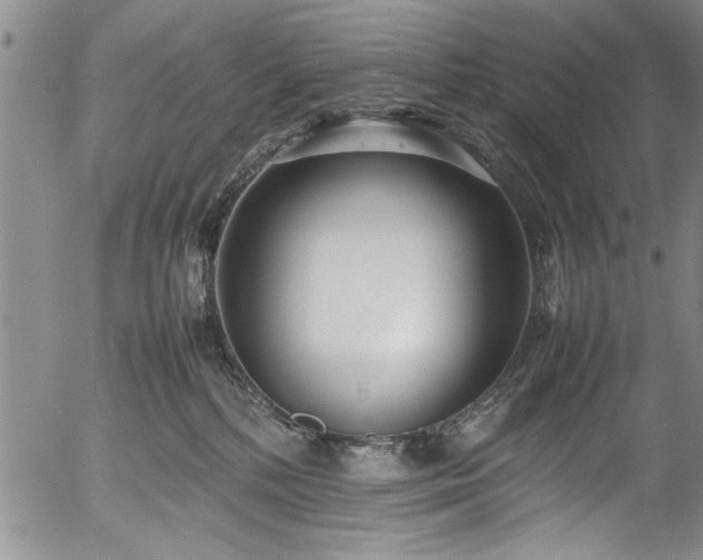 X0000054390232200508011301