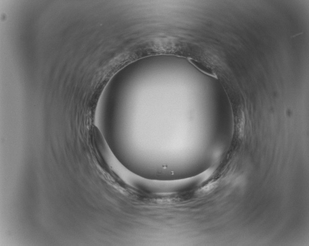 X0000054390233200508011301