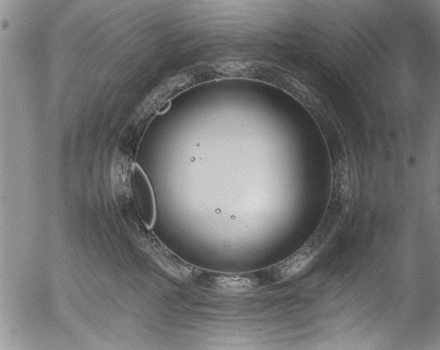 X0000054390234200508011301