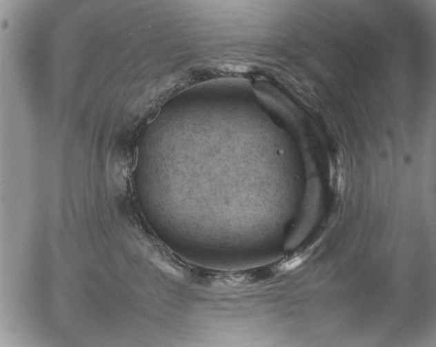 X0000054390235200508011301