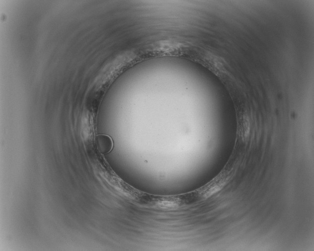 X0000054390236200508011301