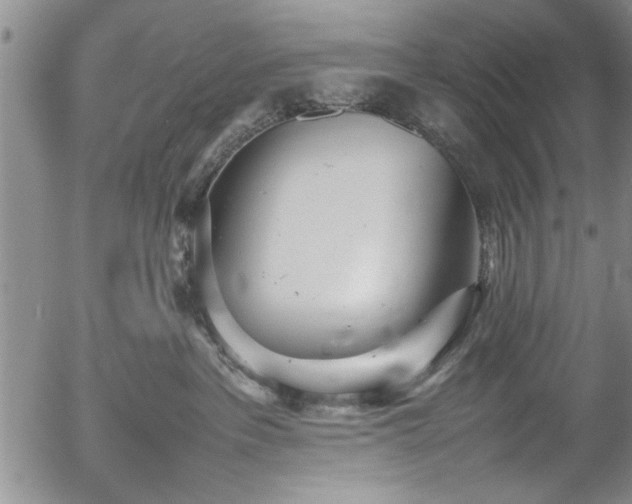 X0000054390237200508011301