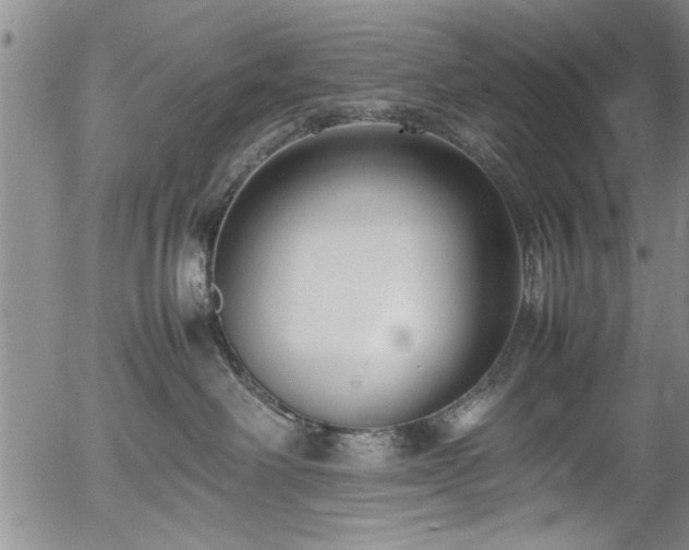 X0000054390238200508011301