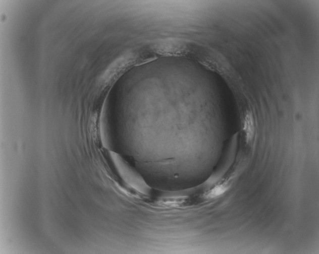 X0000054390239200508011301