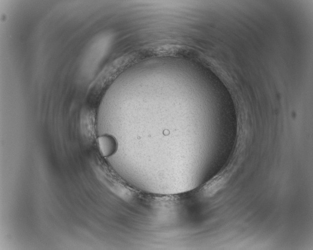 X0000054390240200508011301