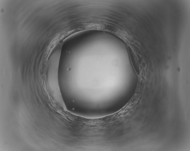 X0000054390241200508011300