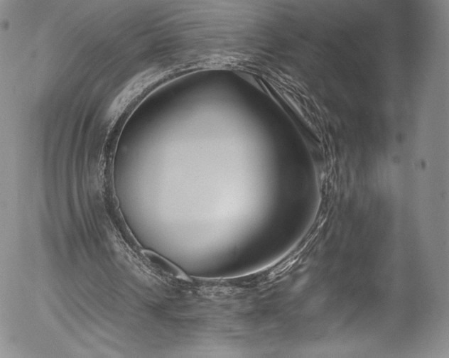 X0000054390242200508011300