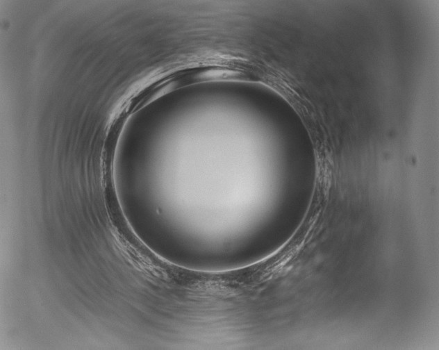 X0000054390244200508011300