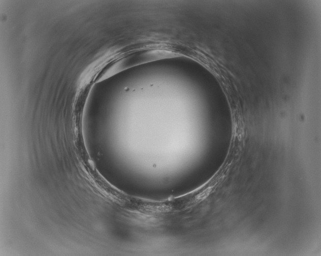 X0000054390245200508011300