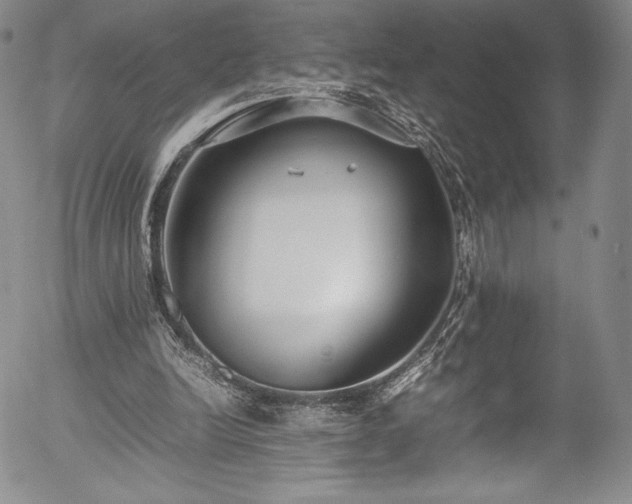 X0000054390246200508011300