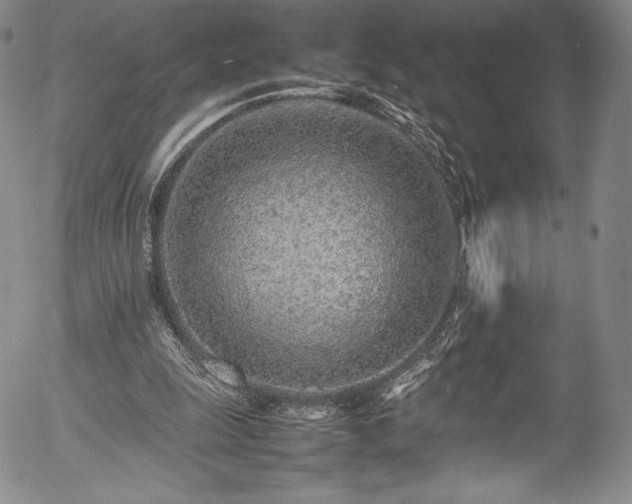 X0000054390247200508011300