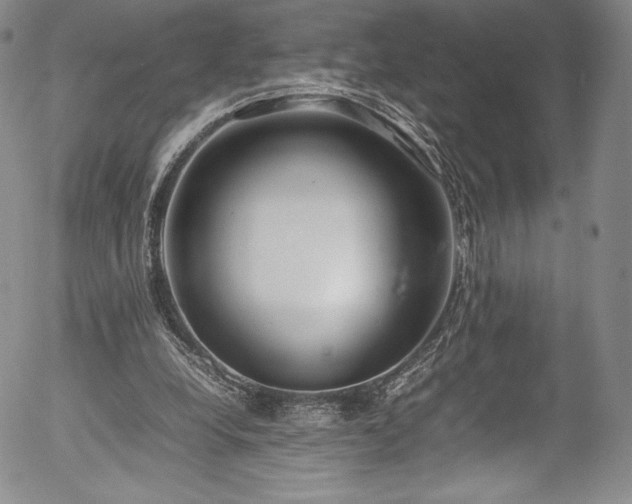 X0000054390248200508011300