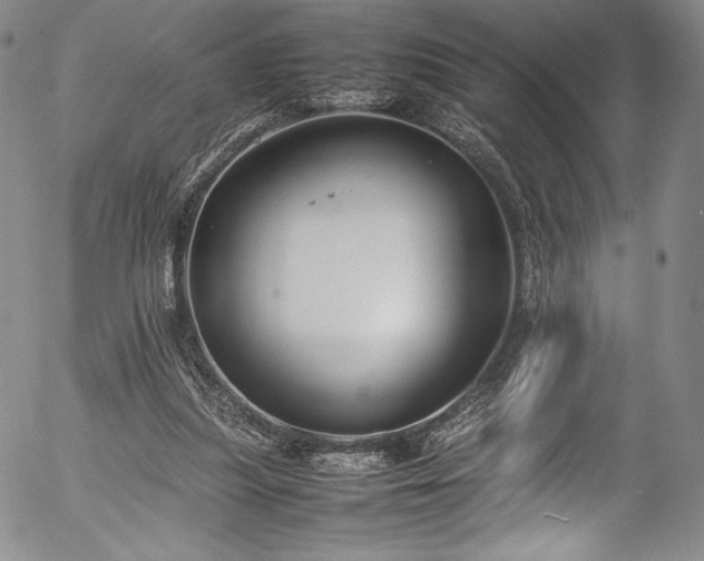 X0000054390251200508011300