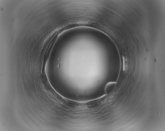 X0000054390252200508011300