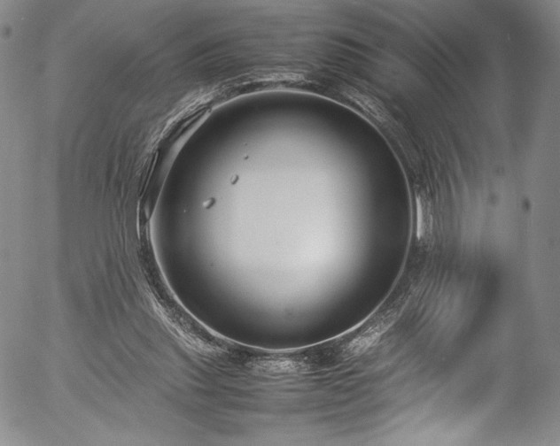 X0000054390253200508011300