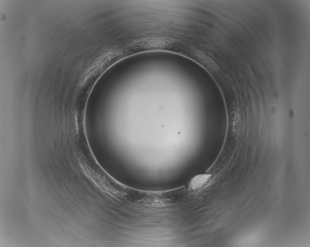 X0000054390254200508011300