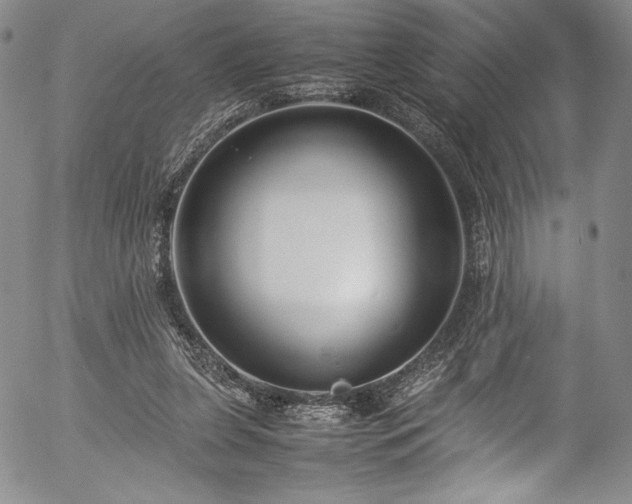 X0000054390255200508011300