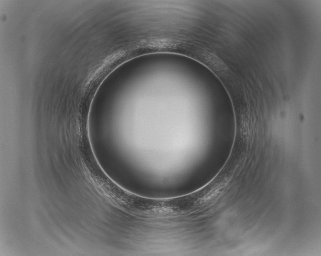 X0000054390256200508011300