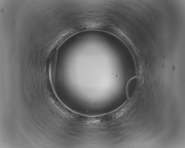 X0000054390257200508011300