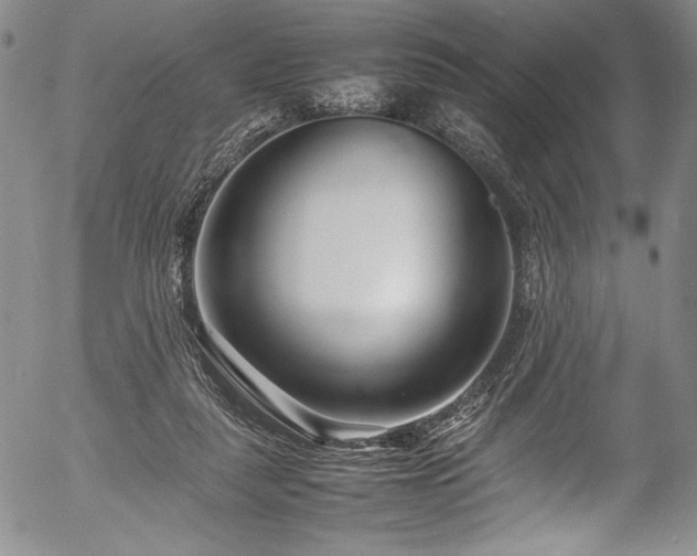 X0000054390259200508011300