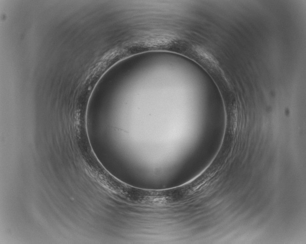 X0000054390260200508011301