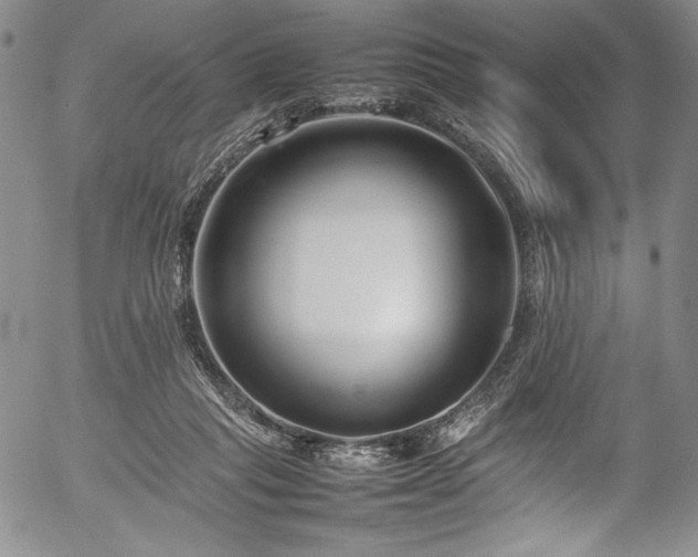 X0000054390261200508011301