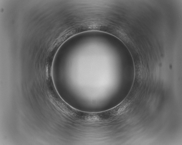 X0000054390262200508011301