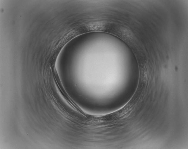 X0000054390263200508011301