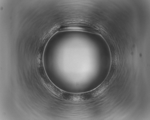 X0000054390264200508011301