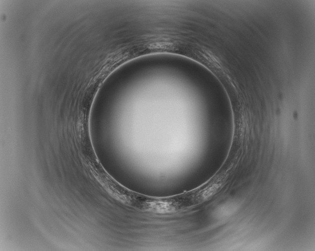 X0000054390265200508011301