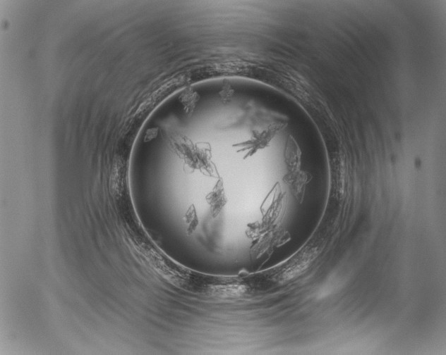 X0000054390266200508011301