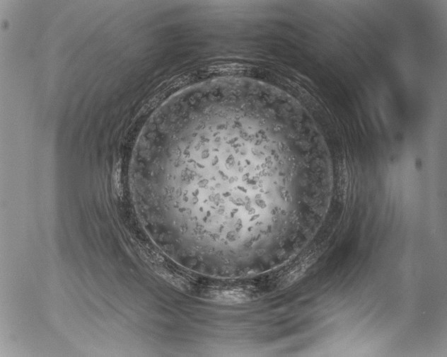 X0000054390267200508011301