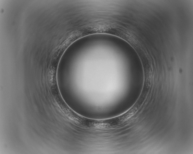 X0000054390268200508011301