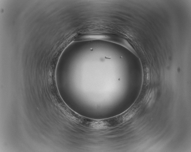 X0000054390269200508011301