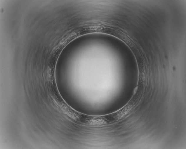 X0000054390270200508011301