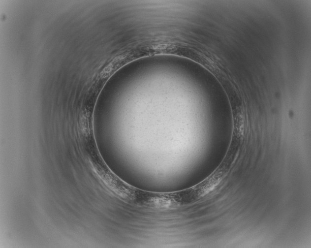 X0000054390272200508011301