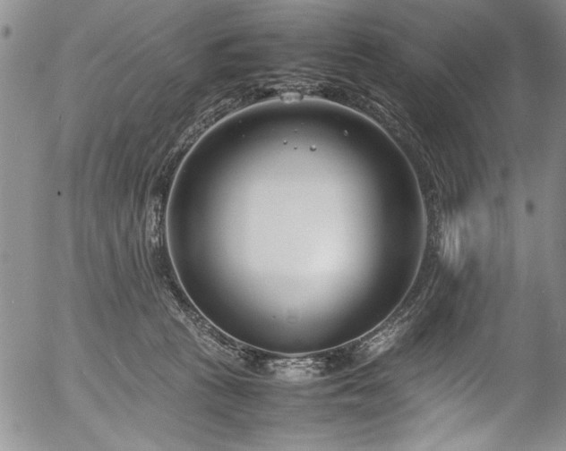 X0000054390273200508011301