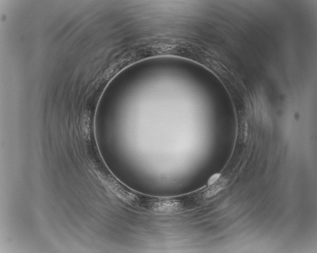 X0000054390274200508011301